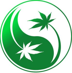 Akashic Care
