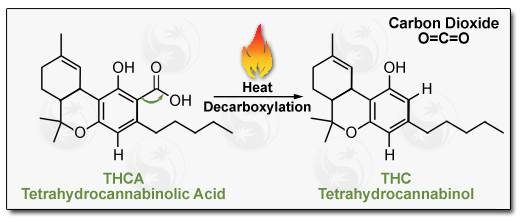 THCA Molecules Diagram Image