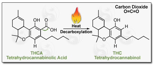 CBD/CBDA Molecules Diagram Image